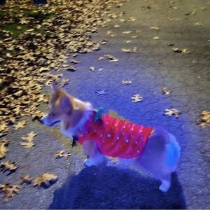 Plush Strawberry Pet Hoodie Size Small/Medium Puppy/Cat